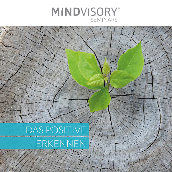 Das Positive erkennen Das Positive erkennen